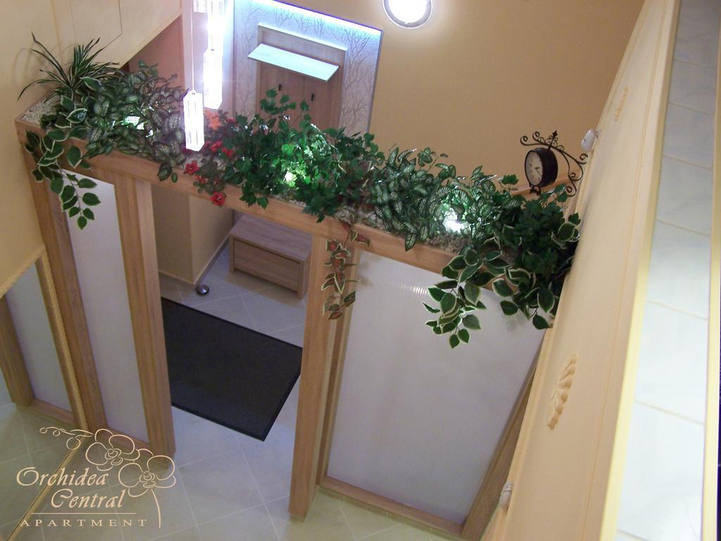 Orchidea Central Apartment Budapesta Exterior foto